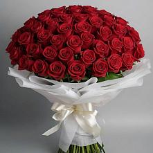 Букет 101 Красная роза Блэк Мэджик в Хотеичи