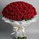 Букет 101 Красная роза Блэк Мэджик в Хотеичи