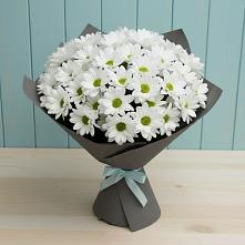 Букет цветов из:  Хризантемы в Хотеичи