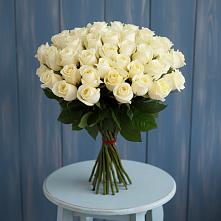 Букет 51 Белая роза Эдлесс Лав #REPLACE_PRED# Хотеичи