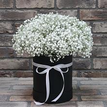 Цветочная композиция из Гипсофила в шляпной коробке #REPLACE_PRED# Хотеичи