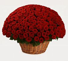 Премиум букет из: Розы в Хотеичи