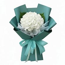 Букет цветов из:  Гортензия в Хотеичи